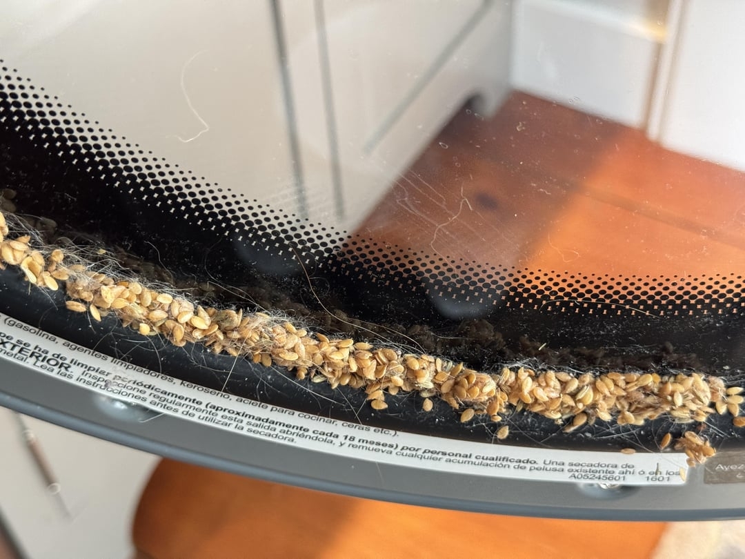 Seeds and dirt accumulated inside a washing machine door gasket