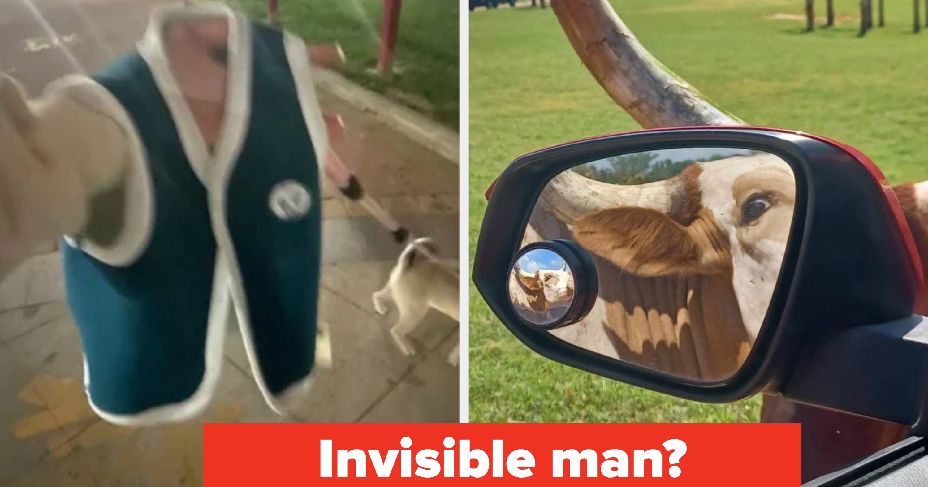 13 Absolutely Baffling Images That Will Haunt Your Dreams For The Next Six Months