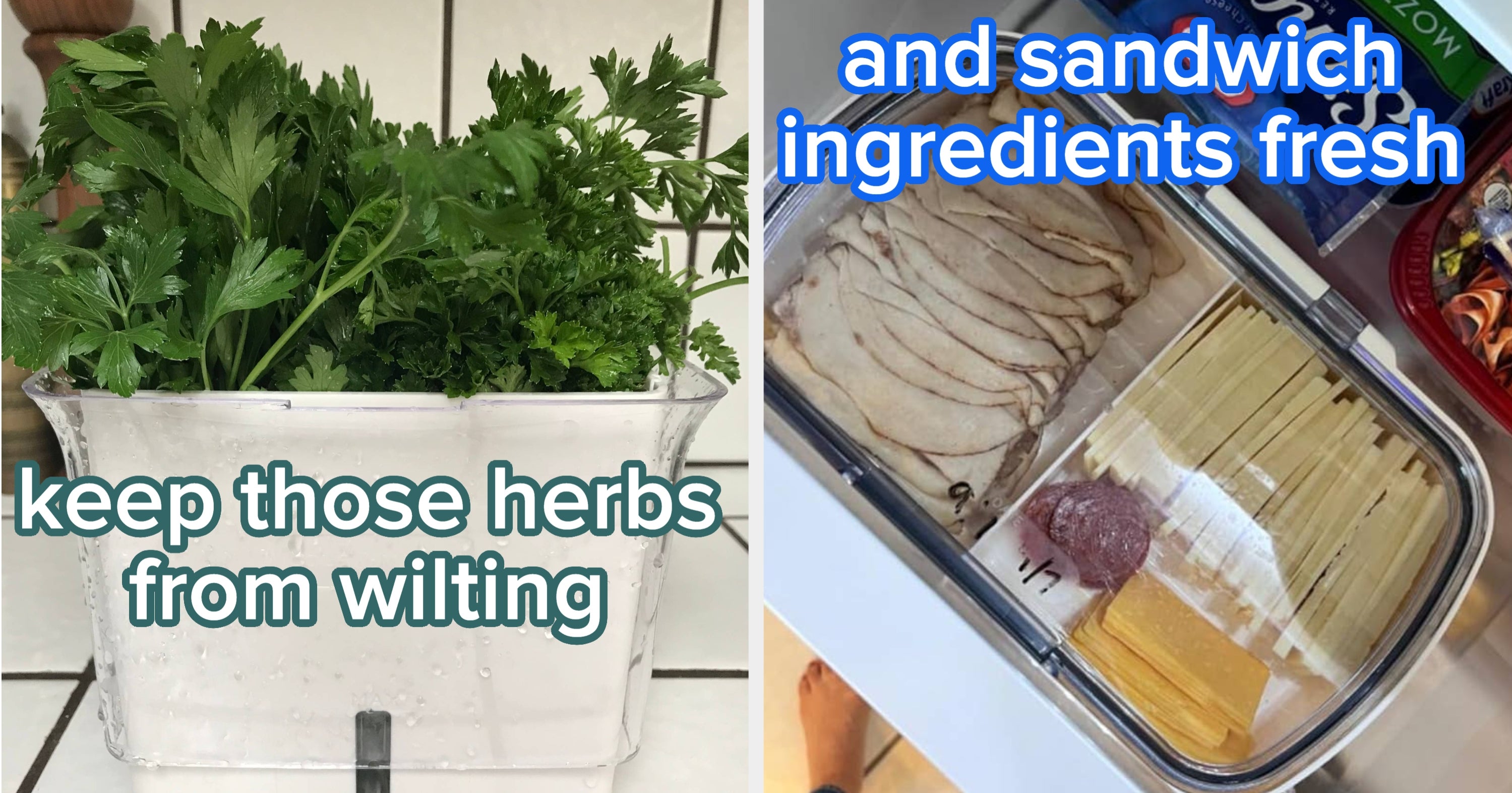 If You Just Spent A Lot Of Money On Groceries, These 32 Products Will Help Make Them Last As Long As Possible