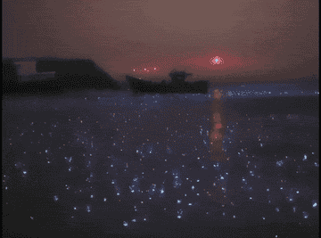 water appears to be glittering
