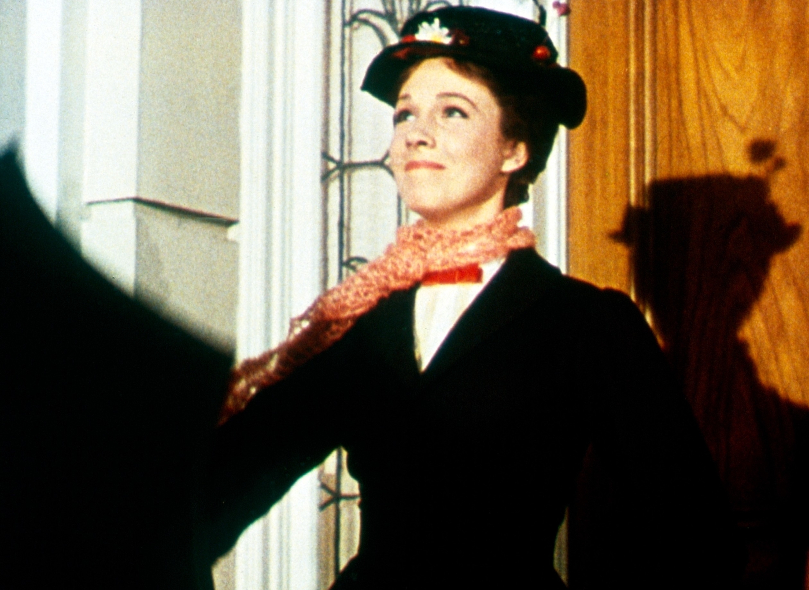 A person in vintage-style clothing and hat stands confidently, casting a shadow on a wooden door