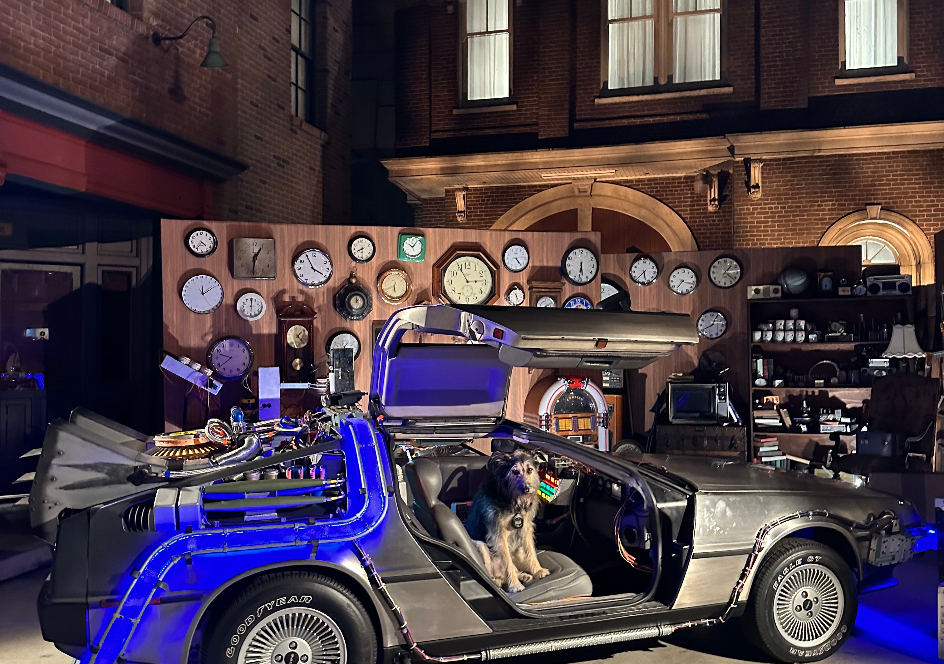 A dog sits inside a DeLorean time machine, surrounded by clocks in an alley, resembling a famous sci-fi movie scene