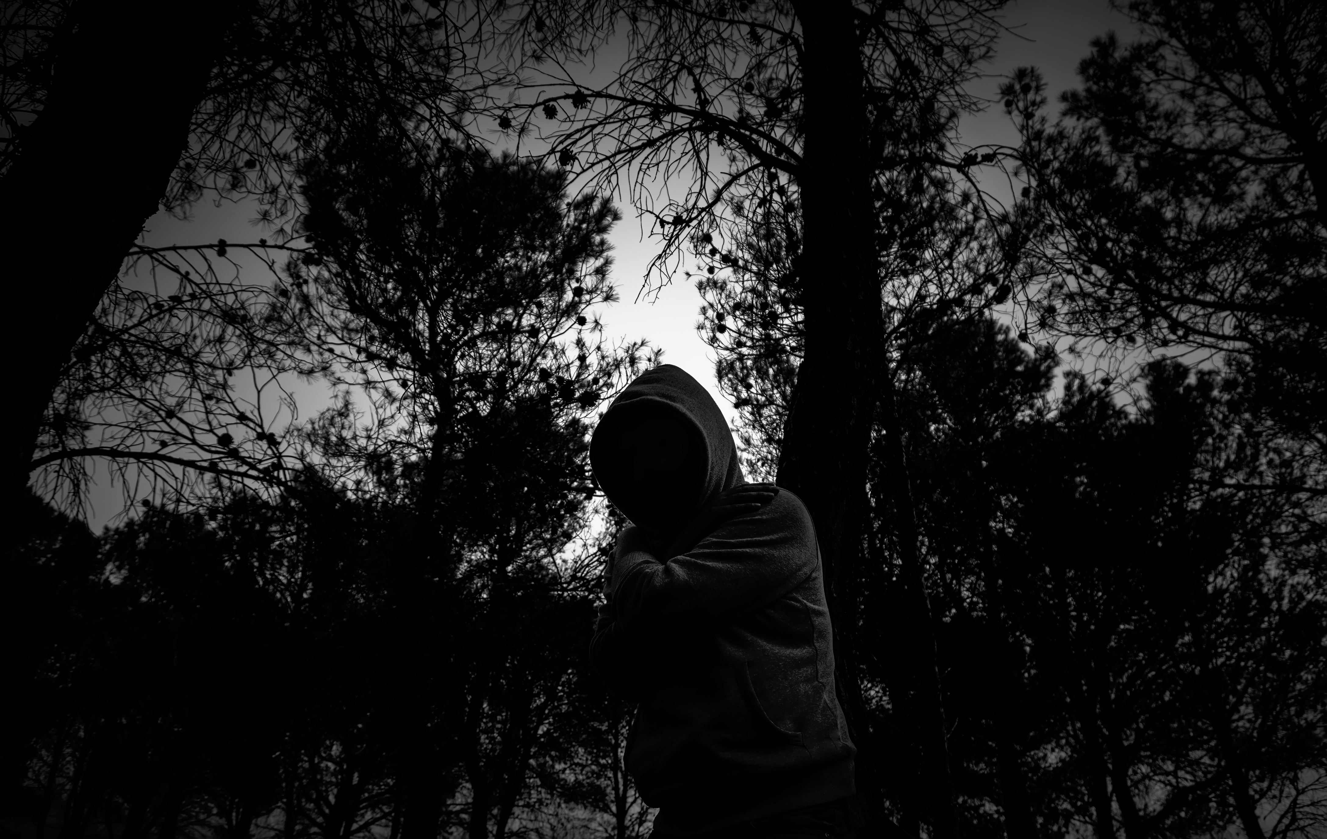 Person in a hoodie standing in a shadowy forest, with trees silhouetted against the sky