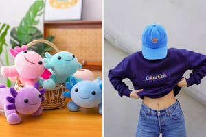 Stuffed axolotls in a basket on left; person wearing Colour Club sweatshirt and cap, showing branding on right