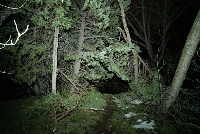 A dark forest scene with trees and a narrow path. Some branches and patches of snow are visible on the ground
