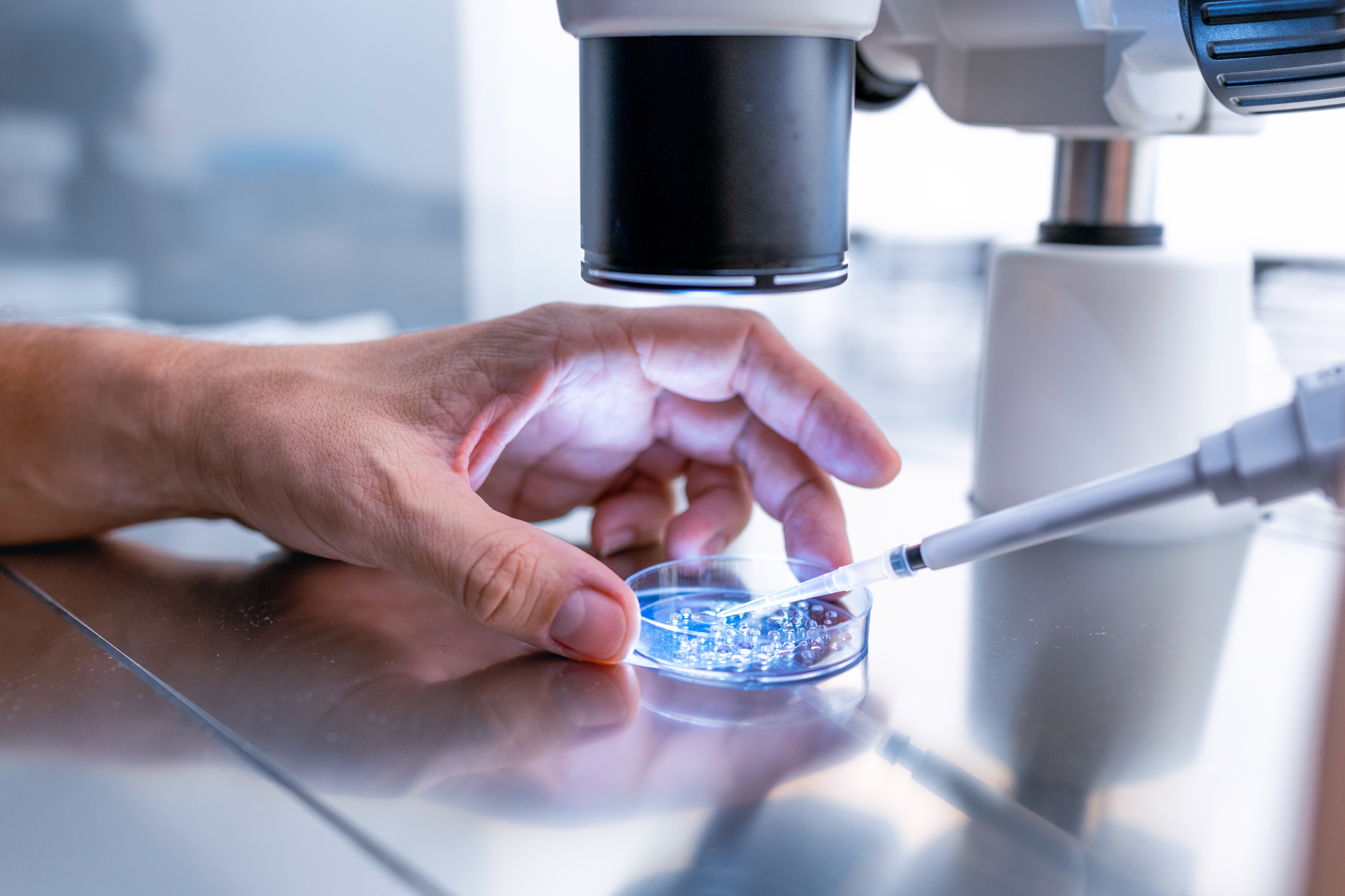 Hand adjusting petri dish under a microscope in a lab setting, indicating scientific research or experimentation