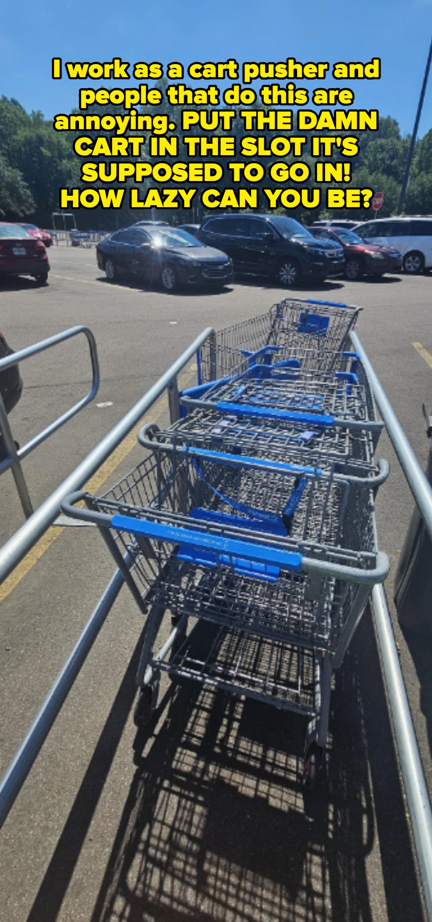 Shopping carts lined up in a parking lot, not pushed fully in. Caption: &quot;I work as a cart pusher and people that do this are annoying. PUT THE DAMN CART IN THE SLOT IT&#x27;S SUPPOSED TO GO IN! HOW LAZY CAN YOU BE?&quot;