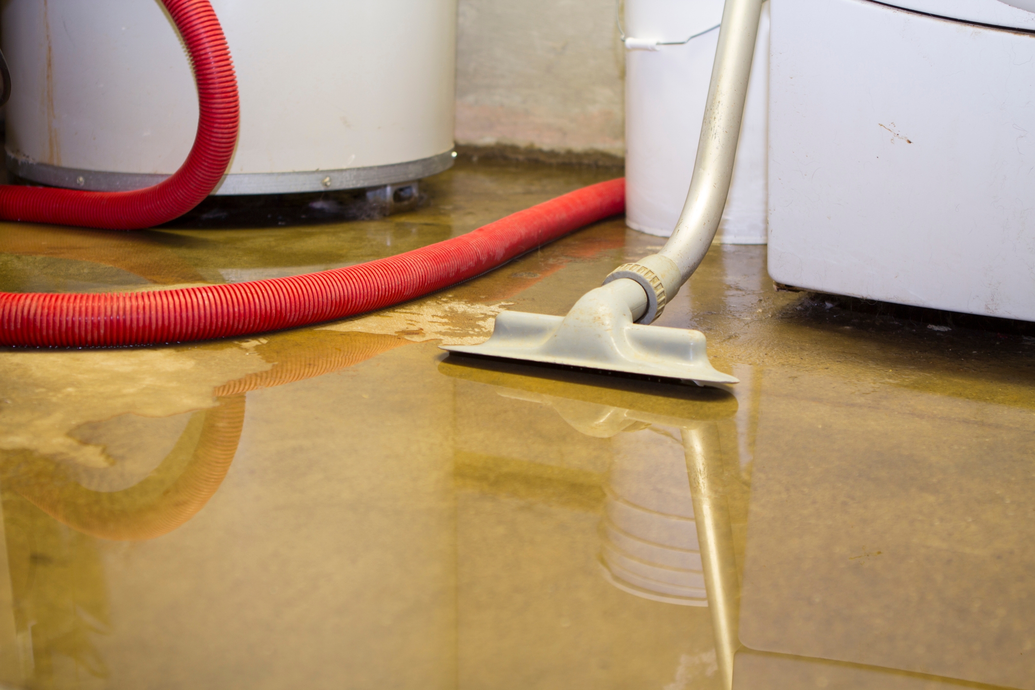 Vacuum cleaner removing water from a flooded basement floor, with a red hose visible in the background