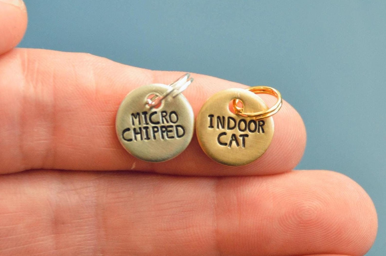 Person holding two round pet tags reading "Micro Chipped" and "Indoor Cat"