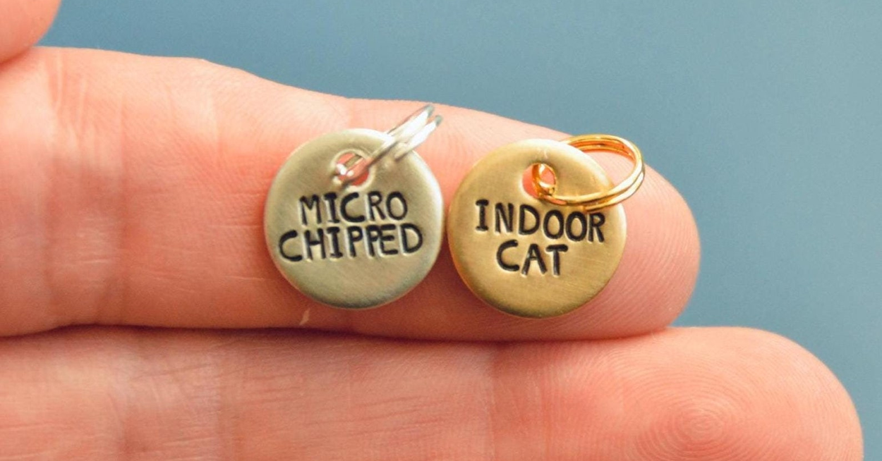 34 Things That Just Want To Make Life Easier For Pet Owners