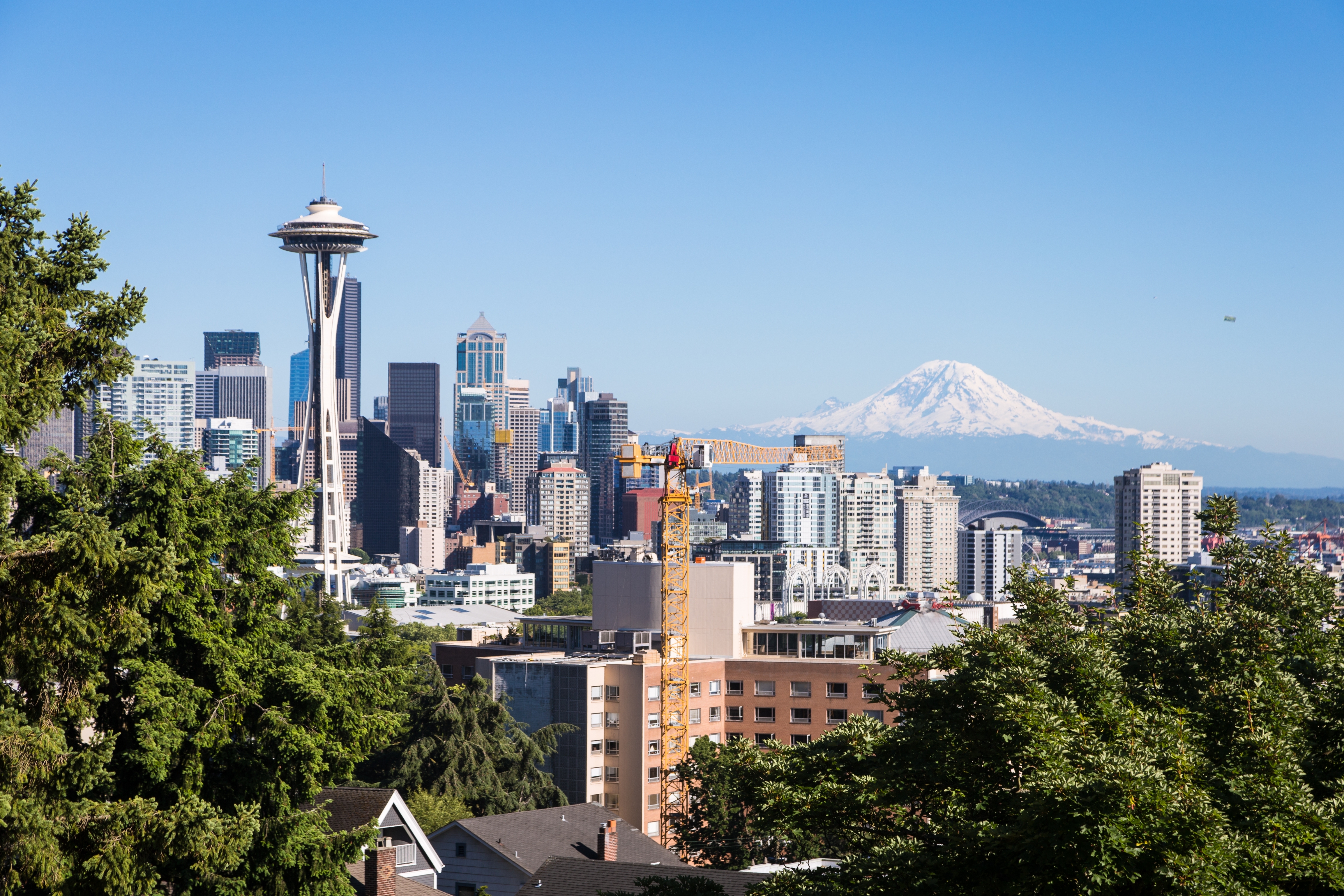 Seattle skyline with the Space Needle, urban buildings, and Mount Rainier in the background on a clear day. Trees are in the foreground
