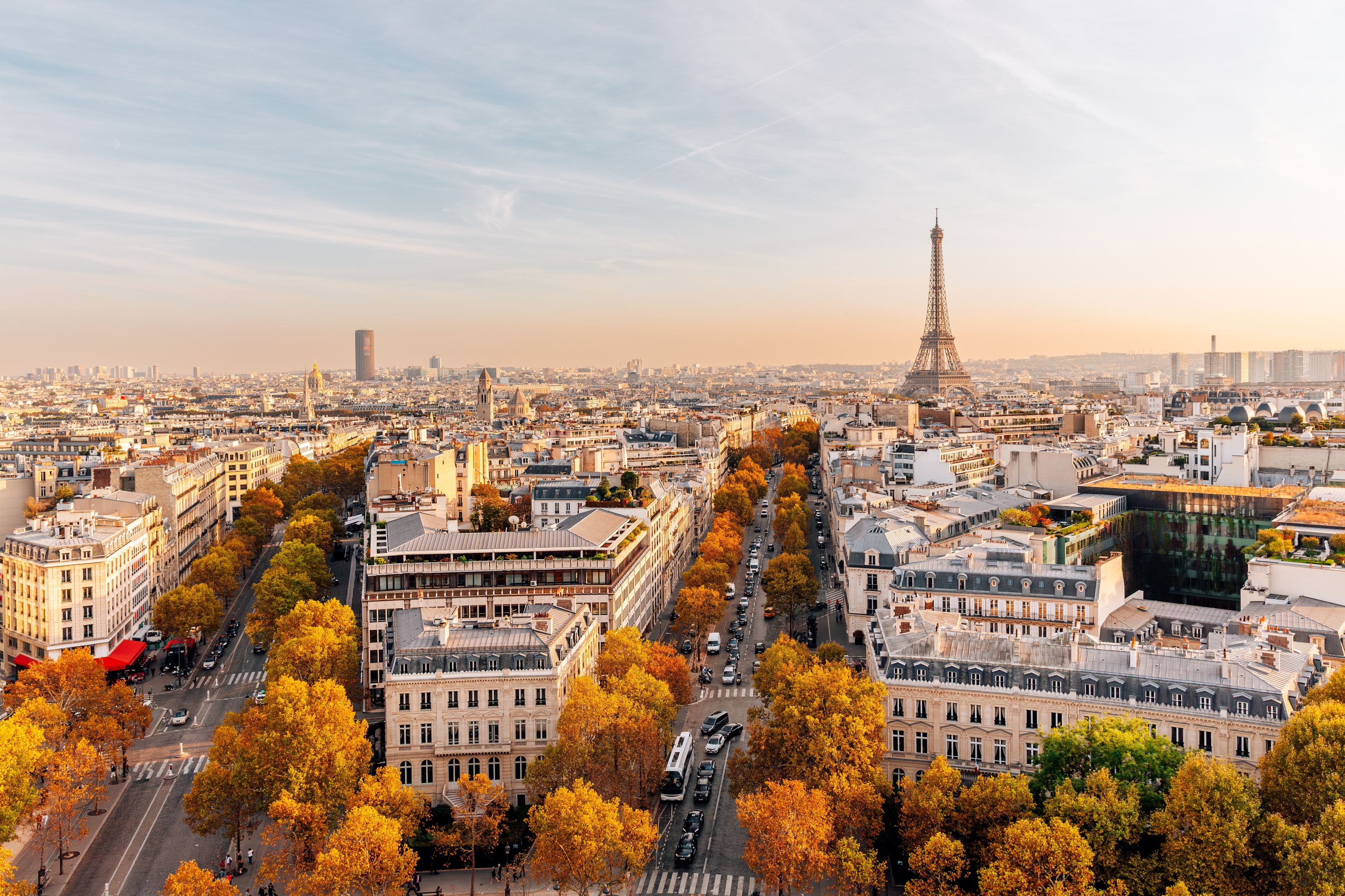 Aerial view of Paris with tree-lined streets and the Eiffel Tower in the distance