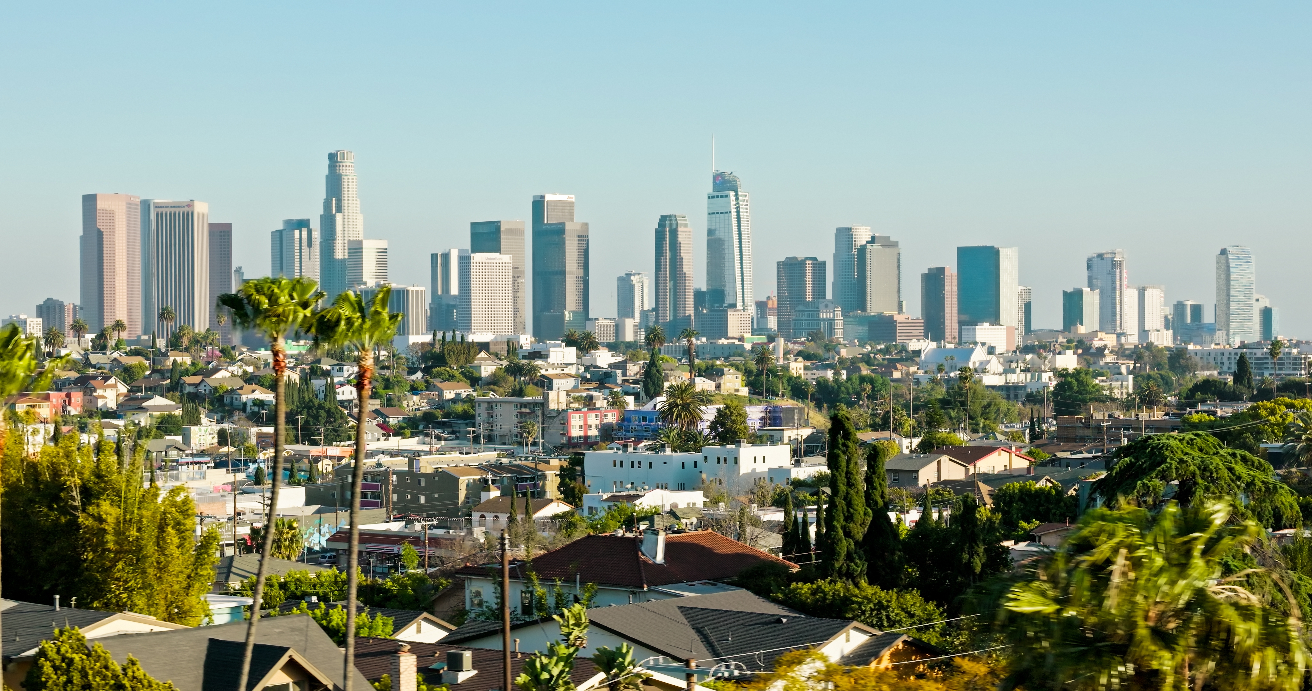 Los Angeles skyline with skyscrapers and palm trees in the foreground, under a clear sky