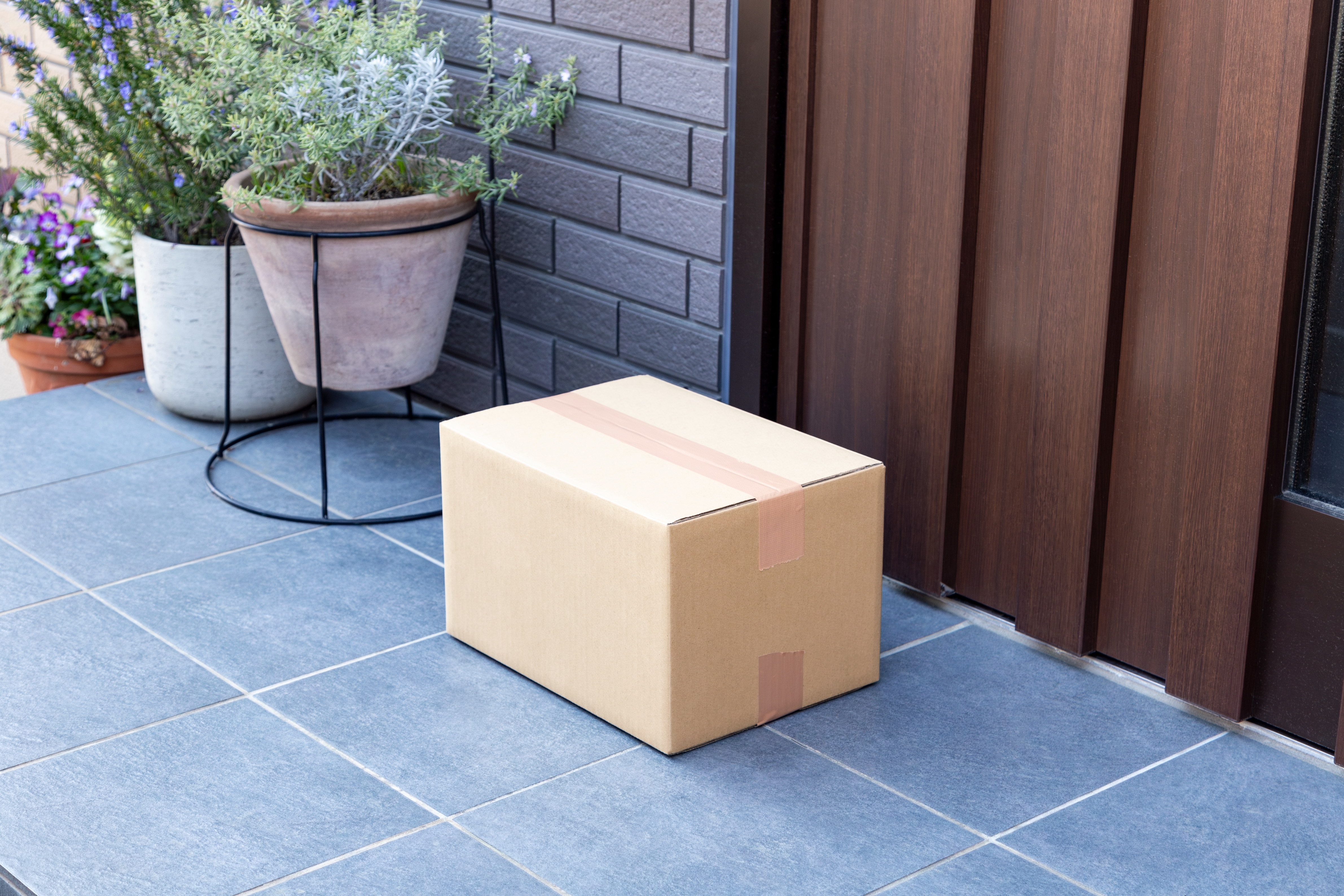 A package sits on a doorstep next to a potted plant, suggesting a home delivery