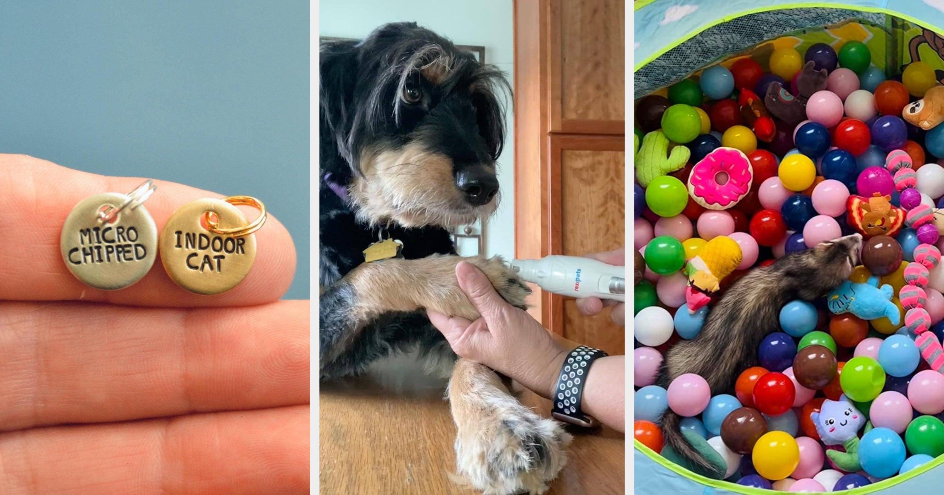 37 Things That Just Want To Make Life Easier For Pet Owners
