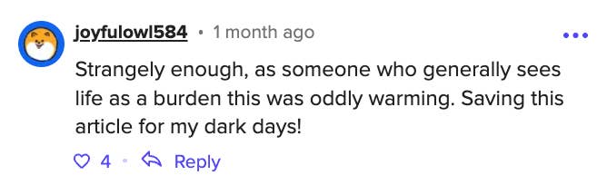 Comment from a user expressing that they found the article unexpectedly uplifting, useful for difficult times