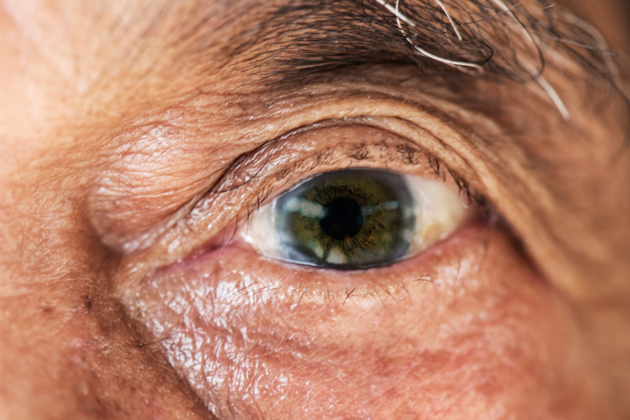 Close-up of an elderly person’s eye focused on the details of the iris and skin texture, highlighting age and detail