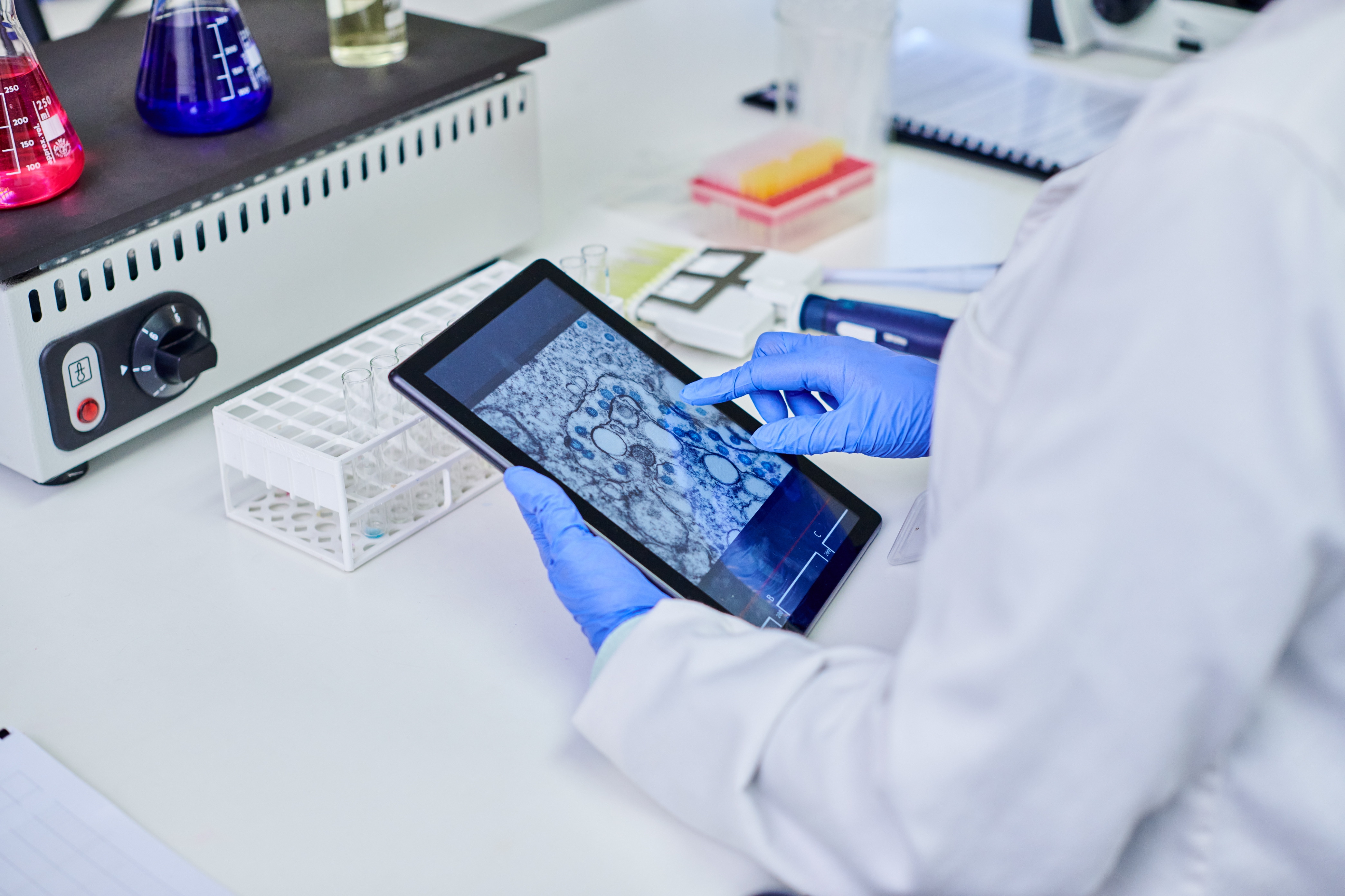 Scientist in lab coat and gloves examines a microscope image on a tablet in a laboratory setting
