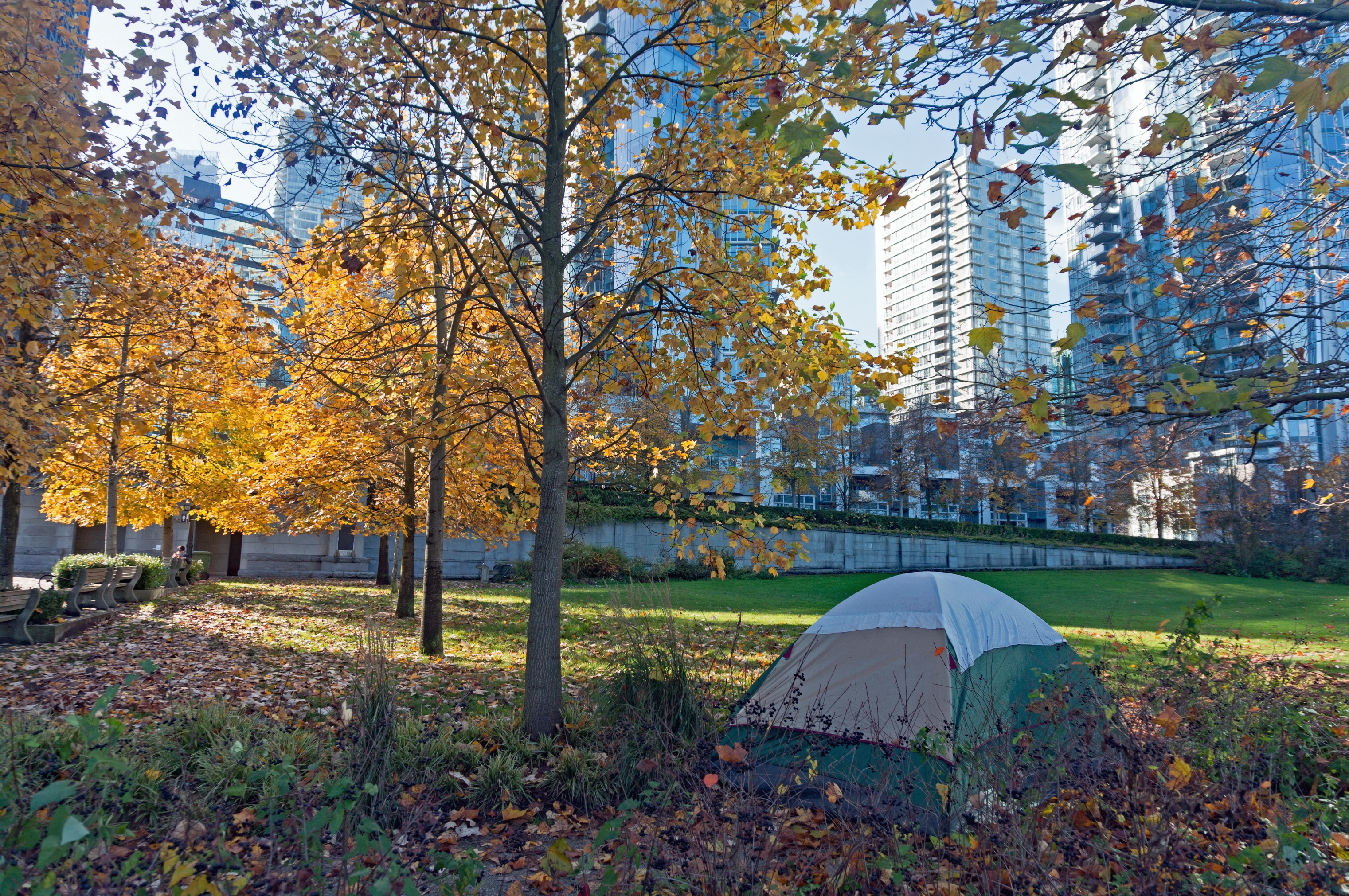Tent pitched in a city park surrounded by skyscrapers and autumn trees