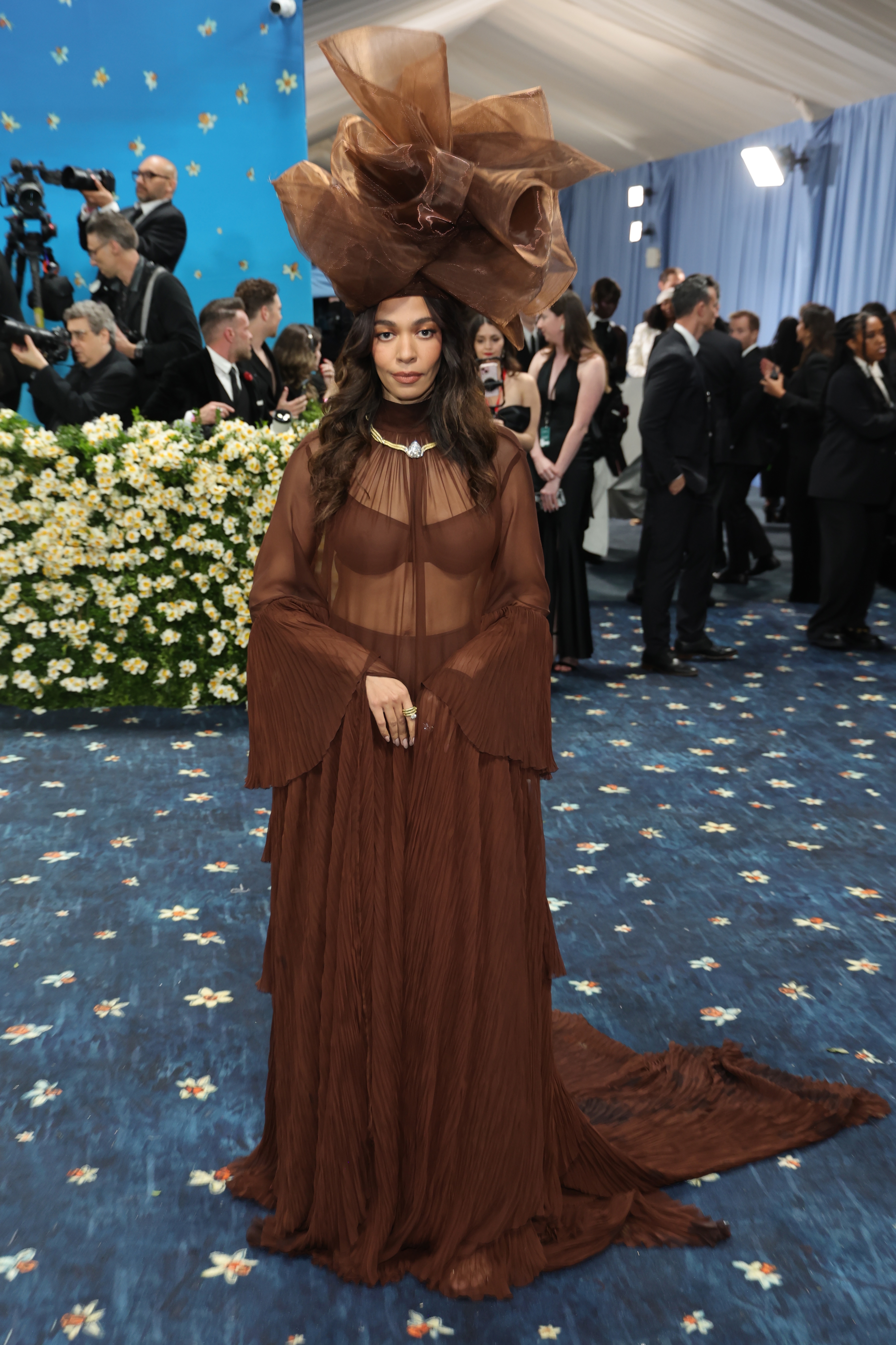 A person on the red carpet wearing a flowing, sheer brown gown with wide sleeves and a large, dramatic flower-shaped headpiece