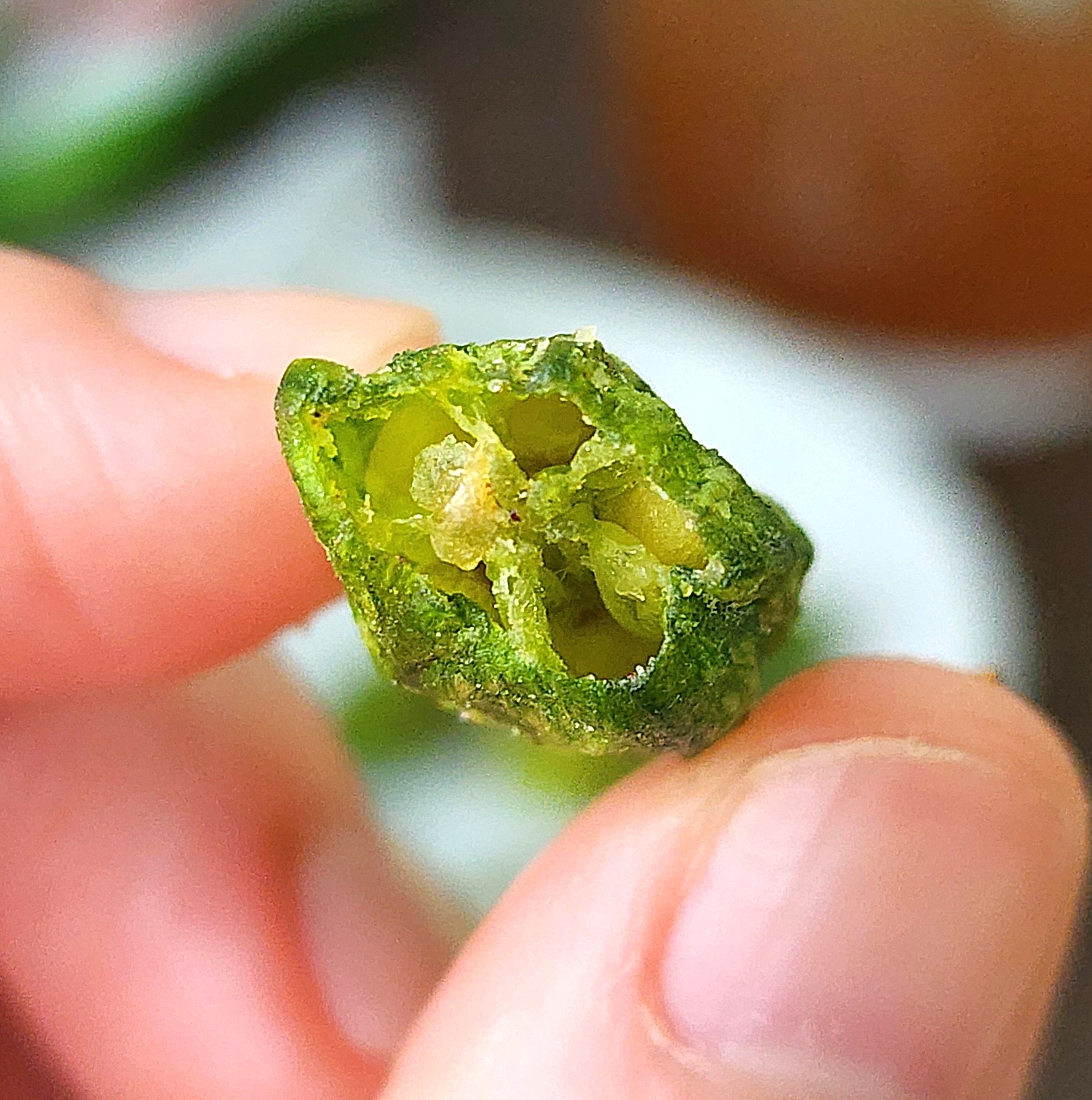 手に持たれた半分に切られた緑色の唐辛子。