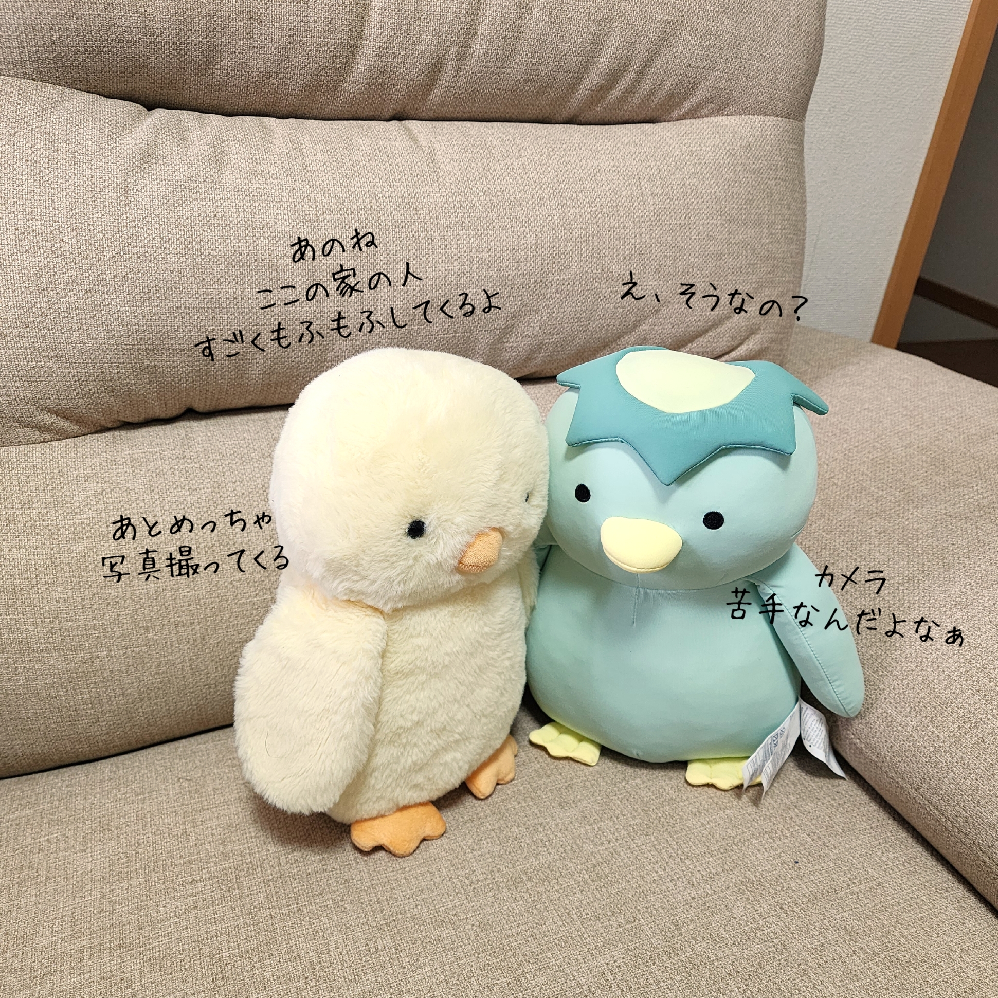 ソファの上で話す、ひよことペンギンのぬいぐるみ。ひよこ:「この家の人、ふもふしてるよ」、ペンギン:「カメラ苦手」。