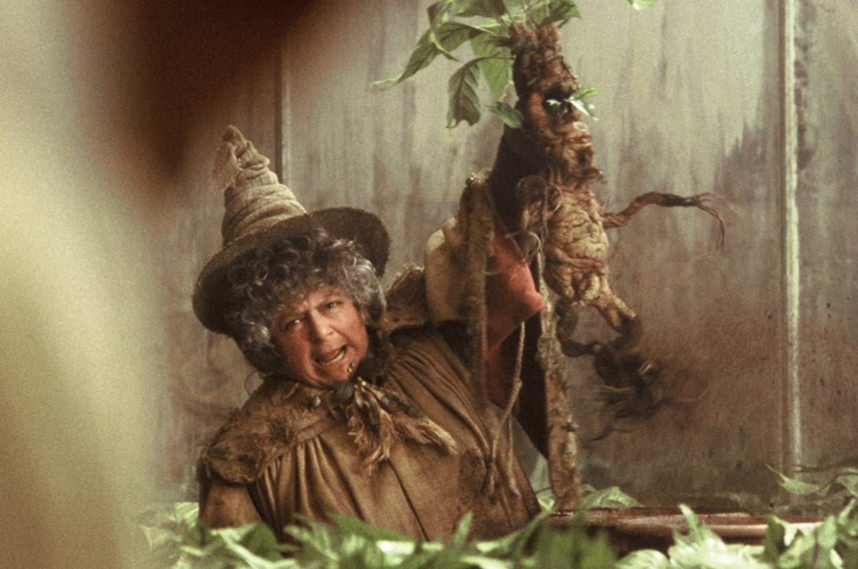 Miriam Margolyes as Proffessor Sprout pulls up a Mandrake