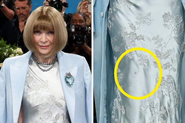 Person in an elegant, embroidered gown and jacket with a heart-shaped brooch, on a red carpet. Close-up shows a small mark circled on the gown