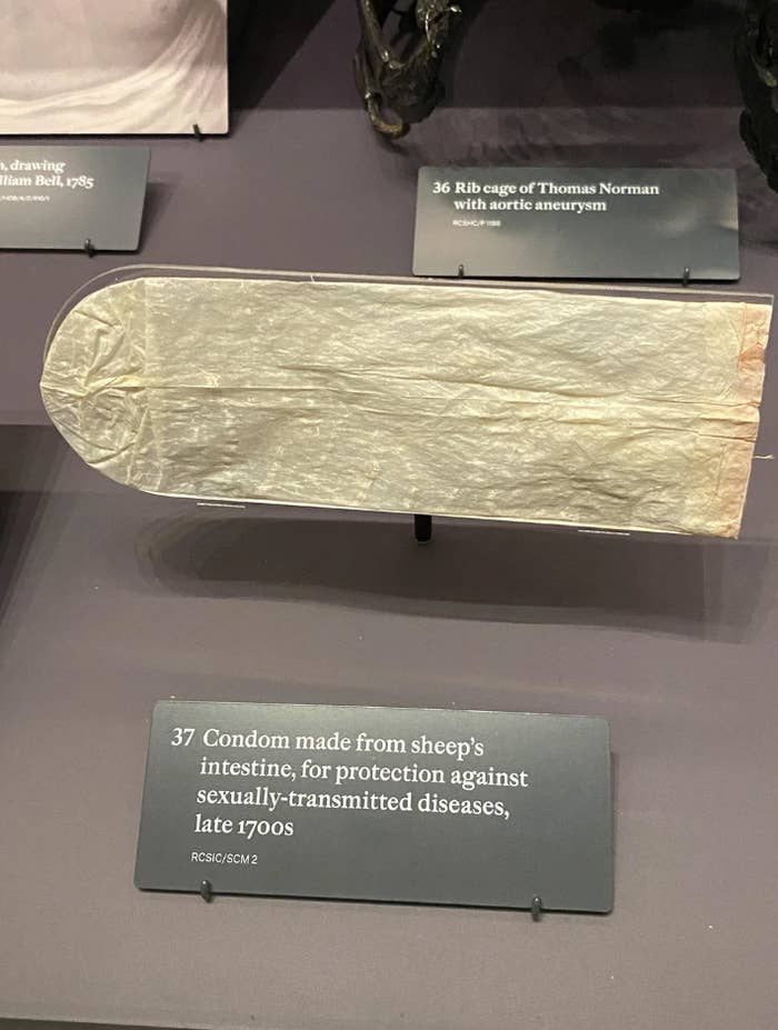 Condom made from sheep's intestine for STD protection, late 1700s, displayed in a museum exhibit