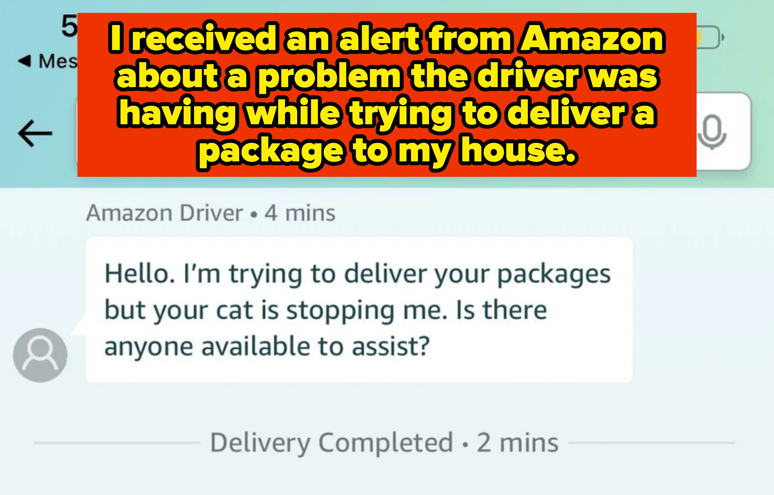 Text message from an Amazon driver says, "Hello. I’m trying to deliver your packages but your cat is stopping me. Is there anyone available to assist?"