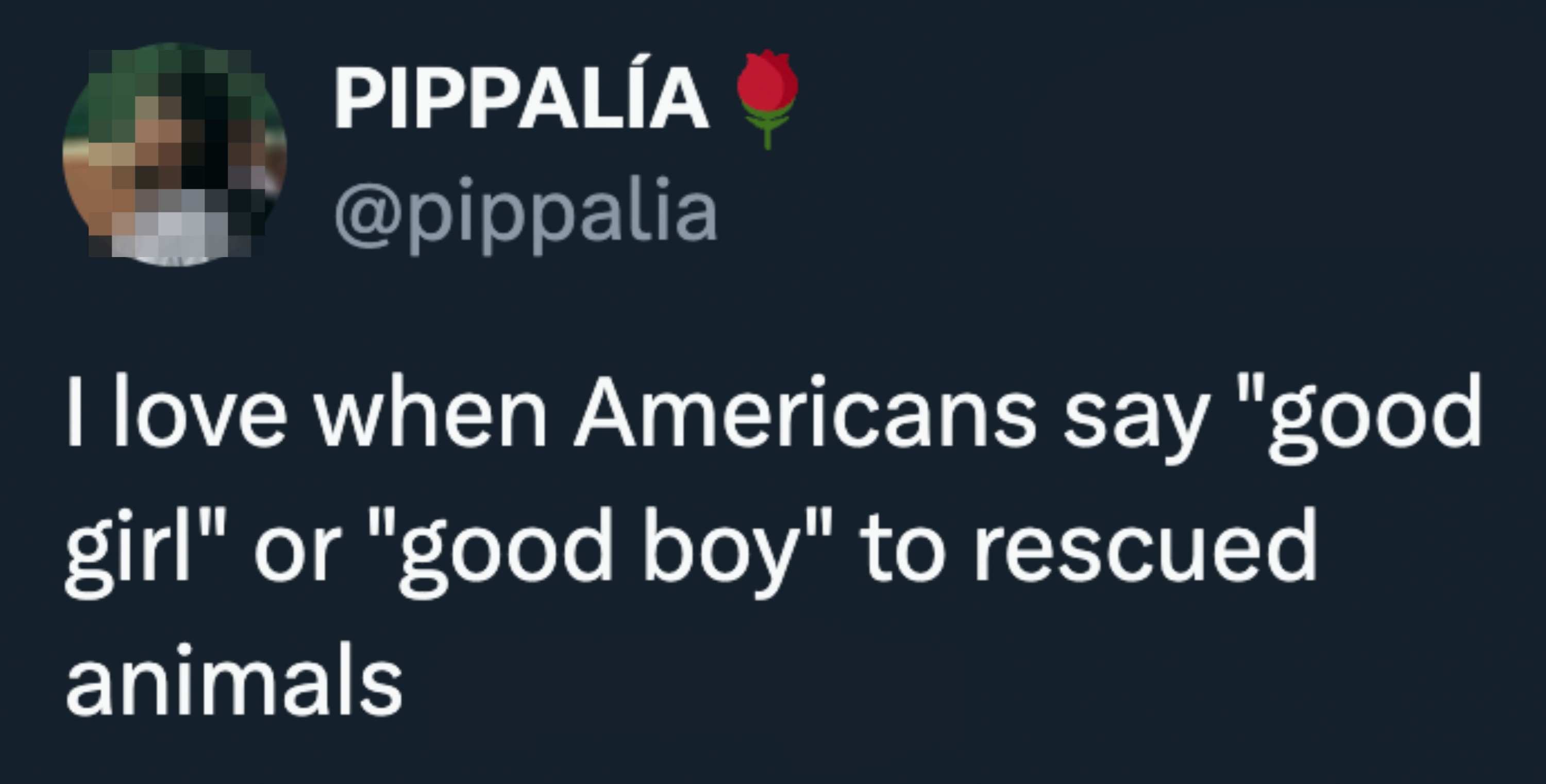 Tweet by Pippalía: "I love when Americans say 'good girl' or 'good boy' to rescued animals" with a heart emoji and mention of @dodo