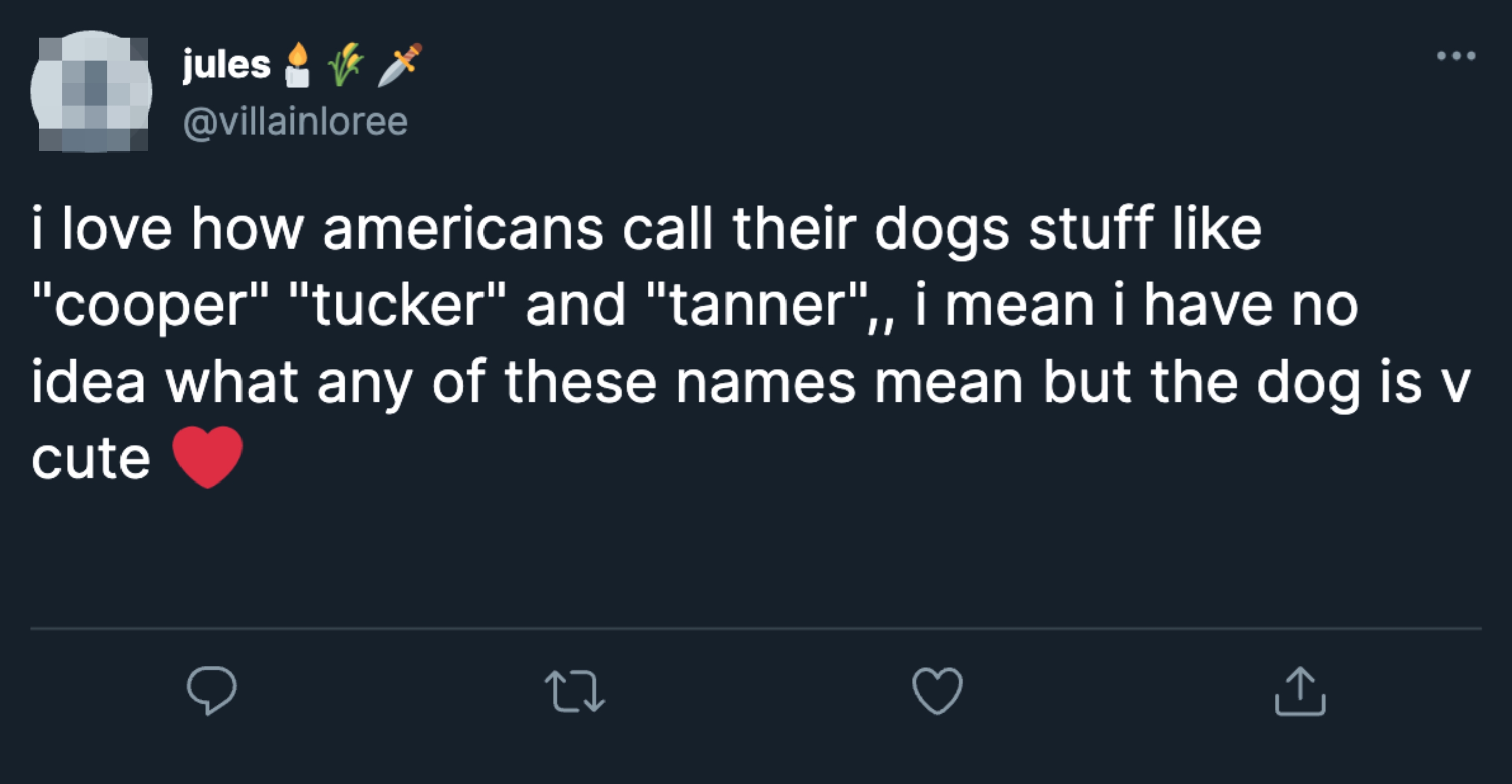 Tweet mentioning Americans naming dogs "Cooper," "Tucker," and "Tanner" with a heart emoji, expressing the names are cute