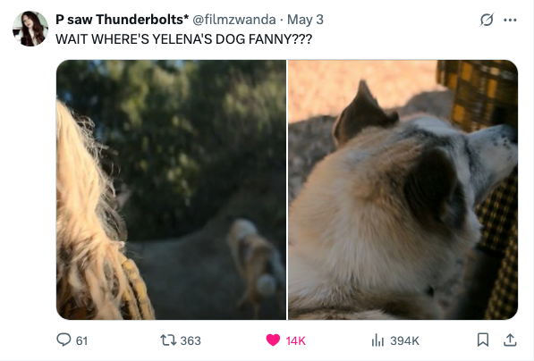 Tweet questioning the absence of Yelena's dog, Fanny, with side-by-side images