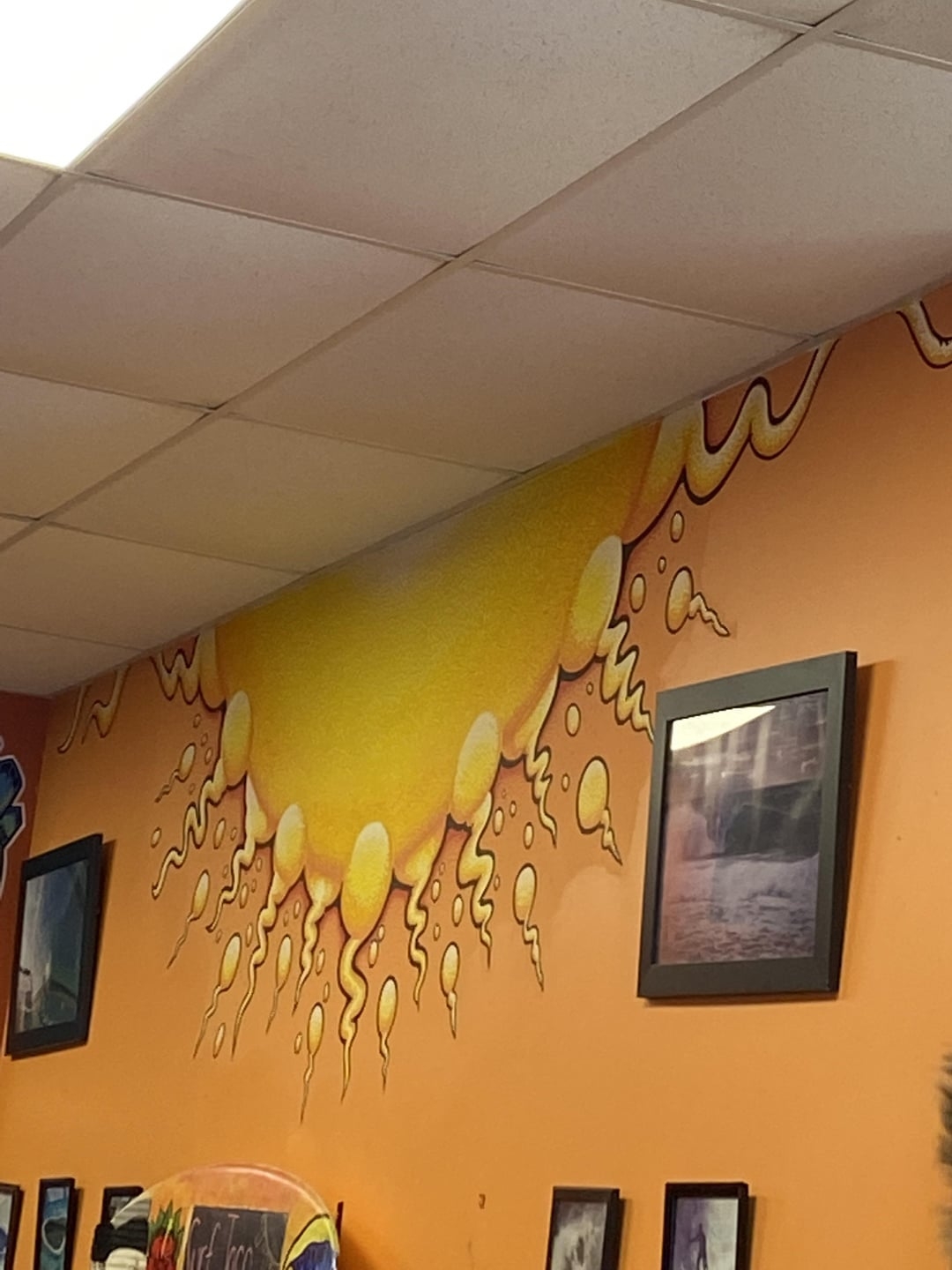 Sun mural on a cafe wall with framed pictures, blending into ceiling tiles