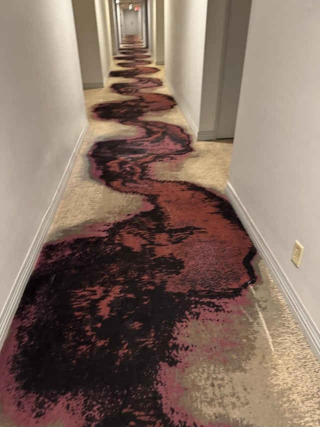 Hallway with a uniquely patterned carpet featuring wavy, abstract designs along the length of the corridor