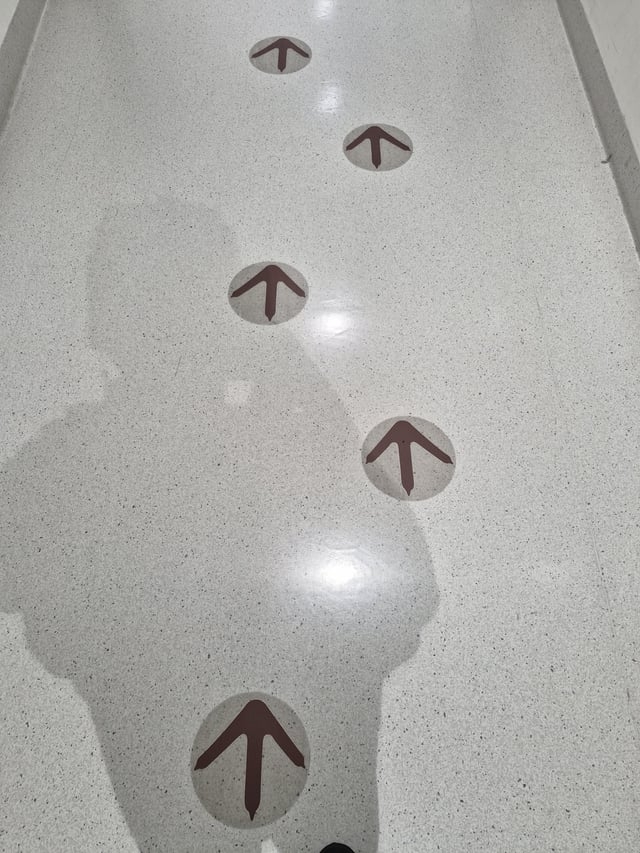 Floor with arrow stickers guiding direction, viewed from above, with person's shadow visible
