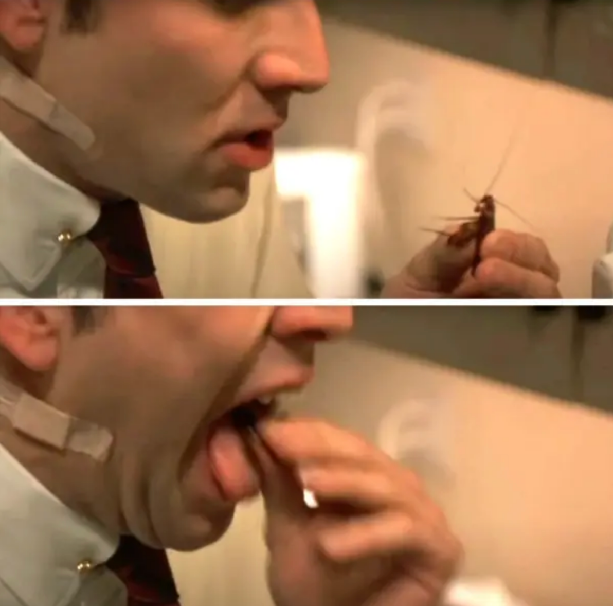 Nic puts a cockroach in his mouth