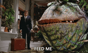 Man in suit with briefcase approaches a large, animated carnivorous plant opening its mouth; text below reads &quot;FEED ME.&quot;