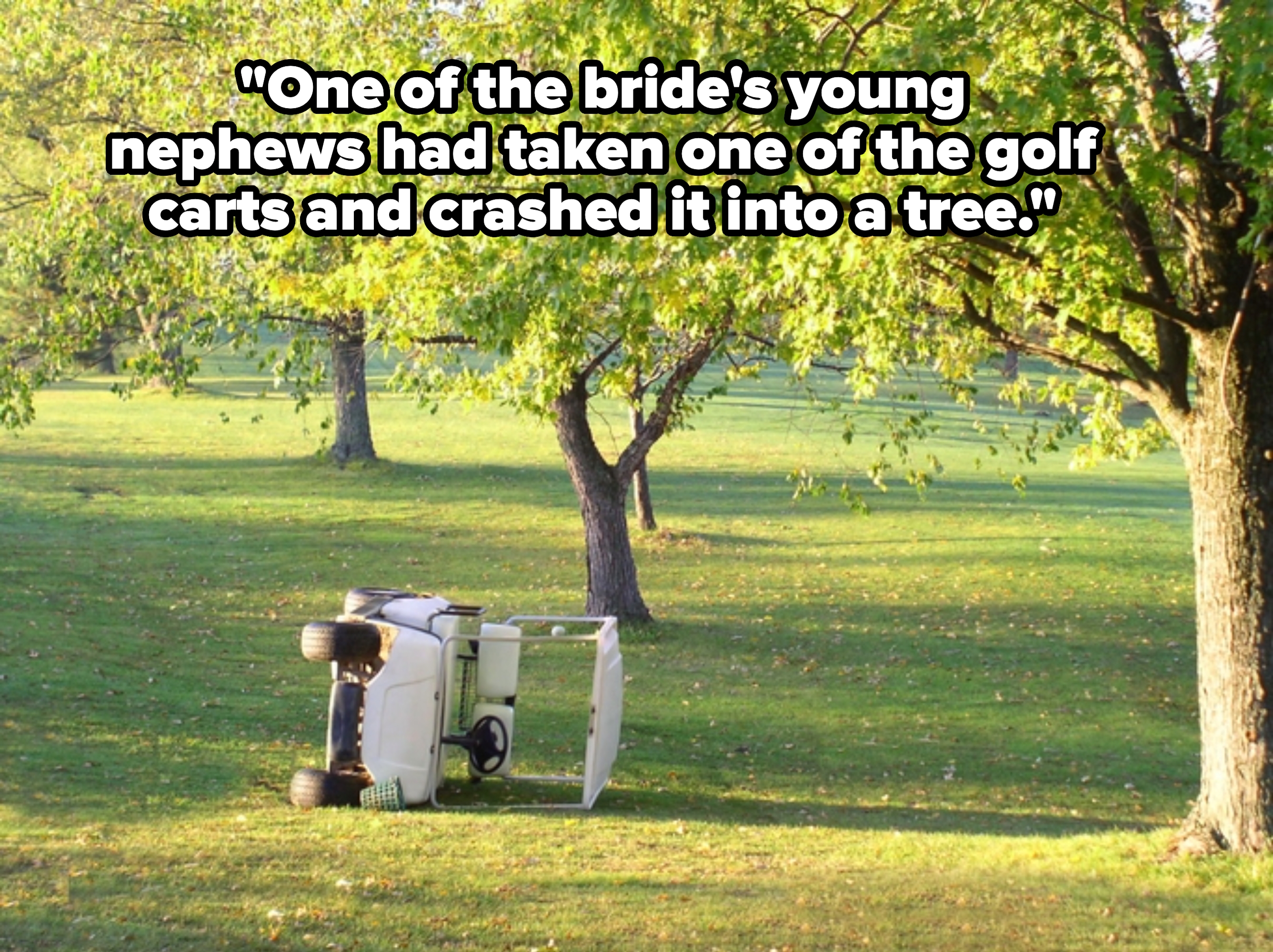 Golf cart tipped over on a grassy area beneath trees in a park setting
