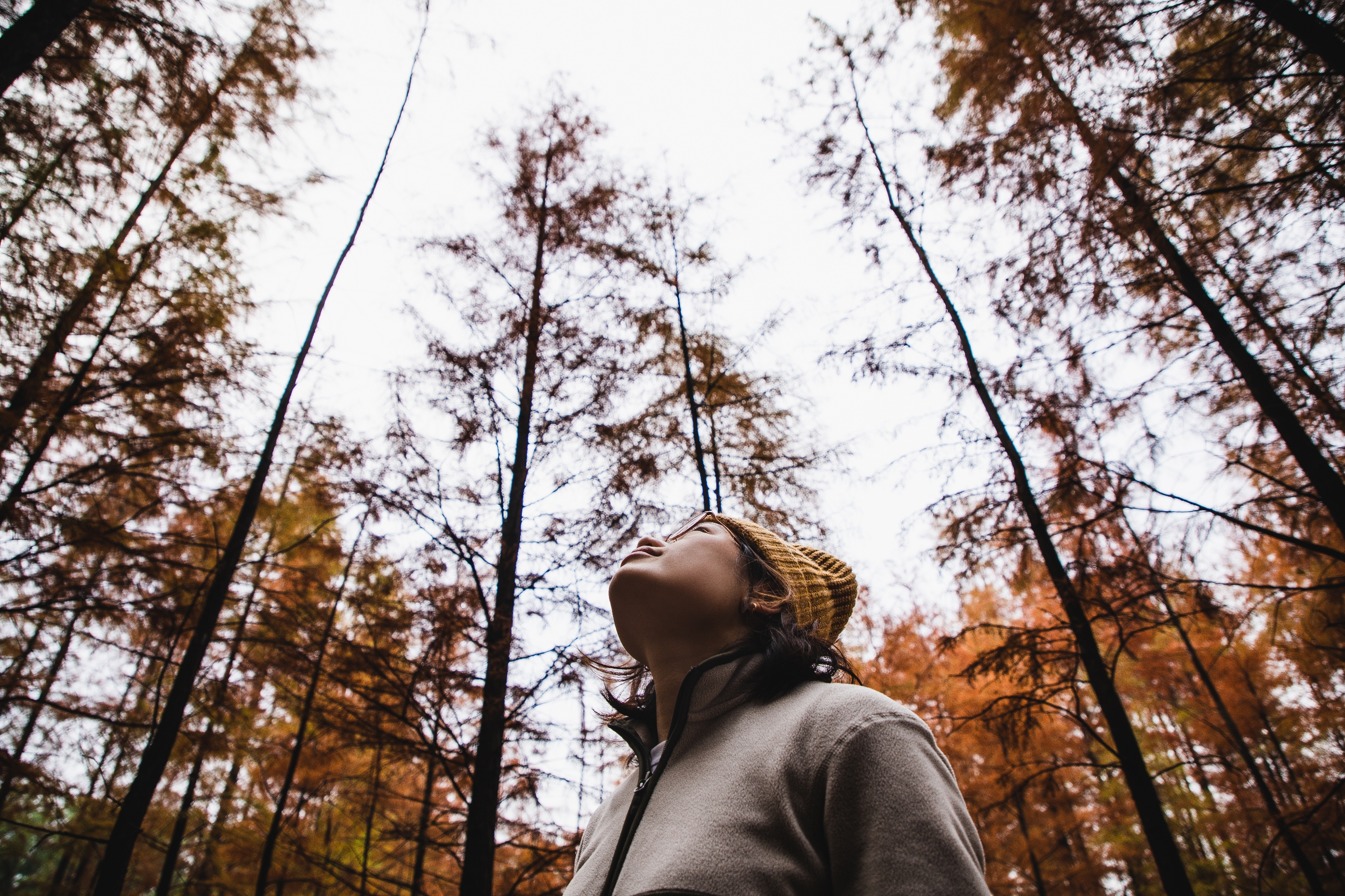Person in a beanie looking up at tall trees in a forest during autumn