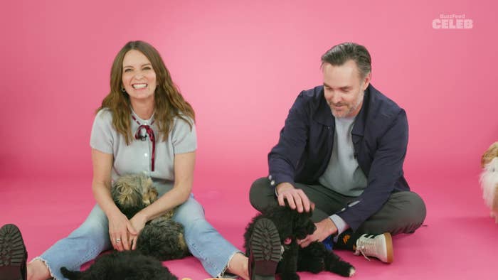 Two radical   beryllium   connected  a pinkish  background, smiling and playing with respective  fluffy puppies