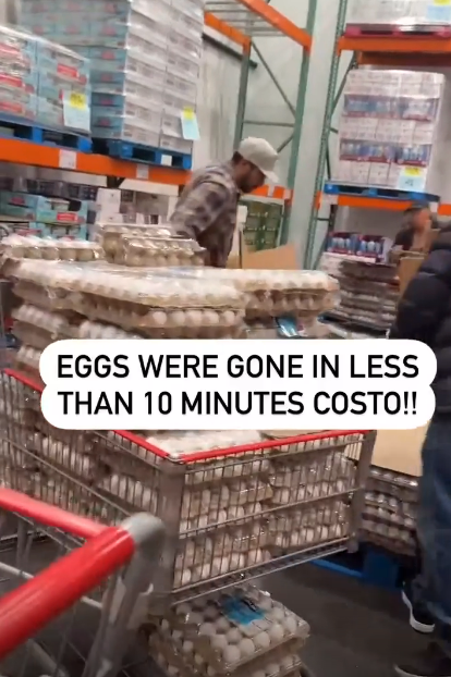 A person shopping at a warehouse store with a cart full of egg cartons. Text overlay reads: "Eggs were gone in less than 10 minutes Costco!!"