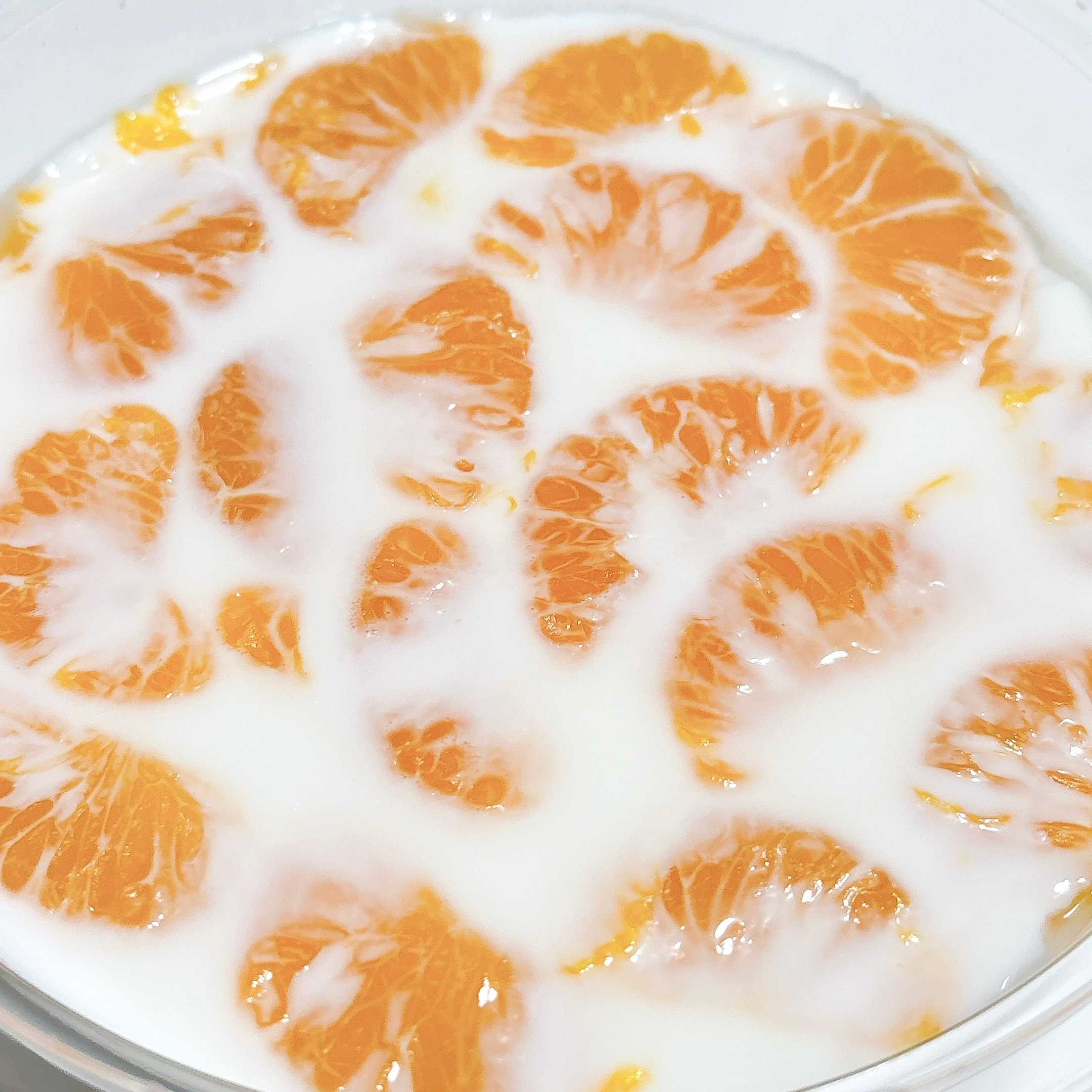 ロピアの「北海道牛乳のプルプルミルクゼリー」