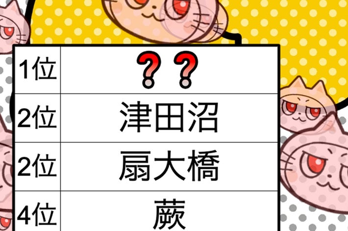 背景に猫のイラスト。中央にランキング表。「1位 ??、2位 津田沼 と 扇大橋、4位 蕨」が記載されています。