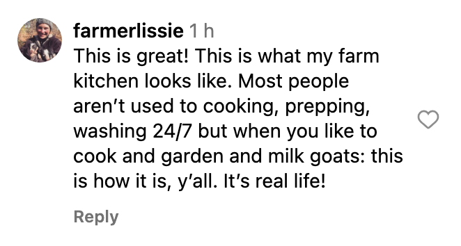 Two comments discussing a farm kitchen. One mentions cooking, prepping, and milking goats; the other agrees with the imagined kitchen setup