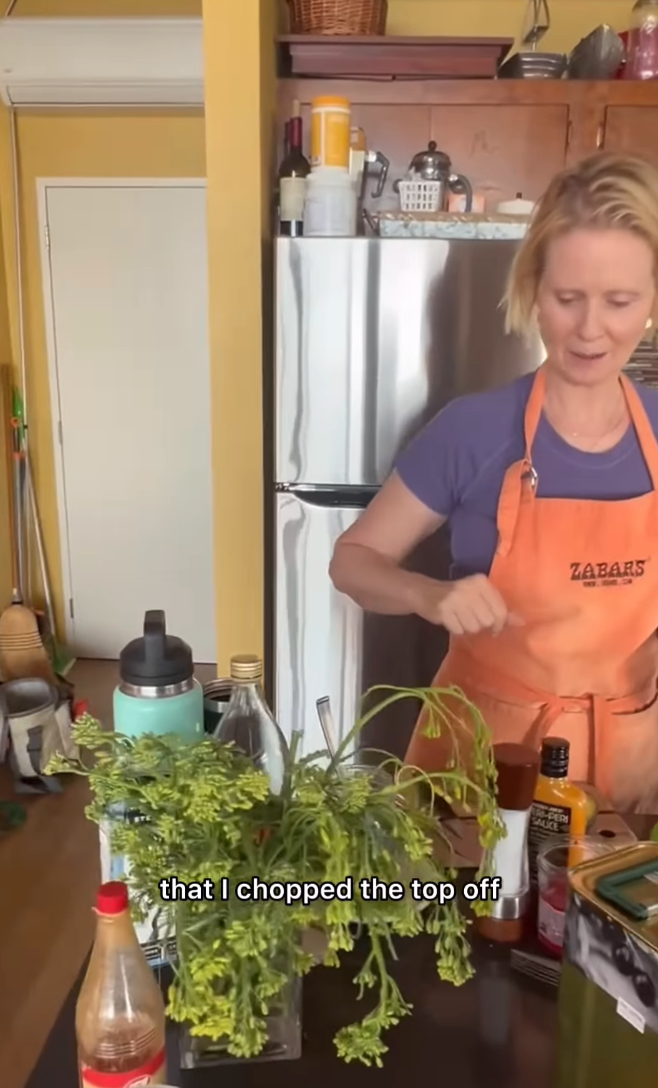 Cynthia Nixon in her kitchen