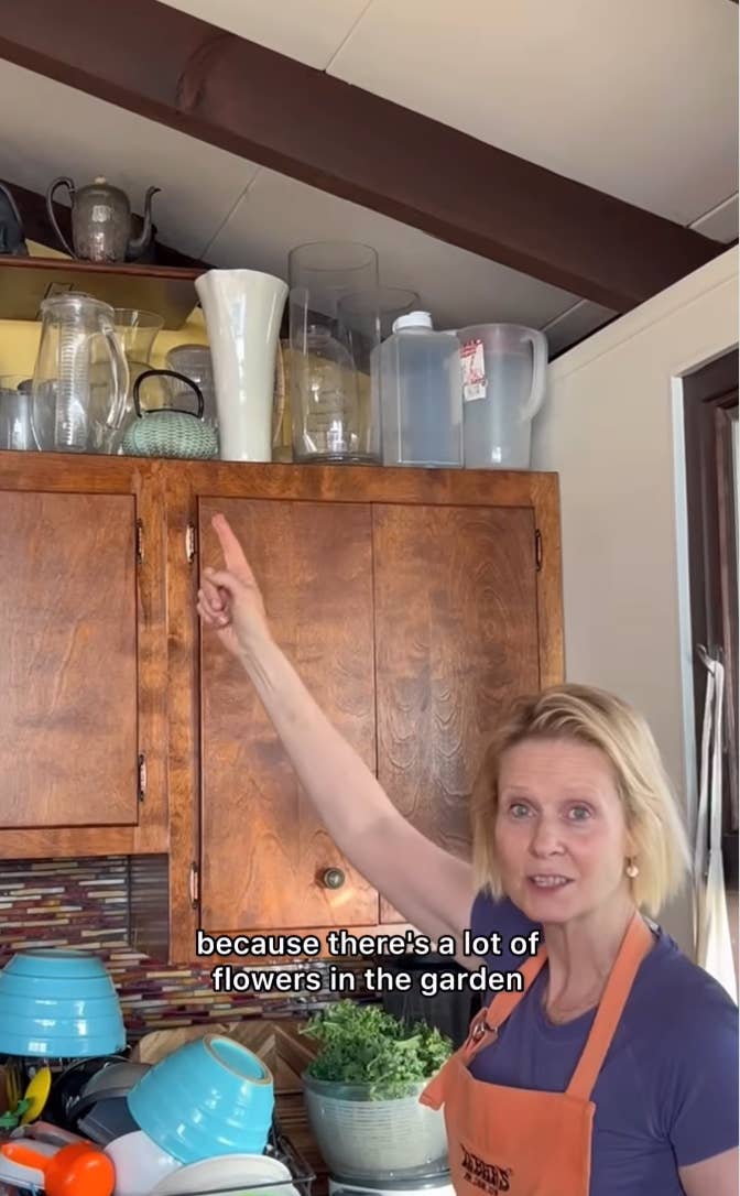 Cynthia Nixon pointing to objects in her kitchen