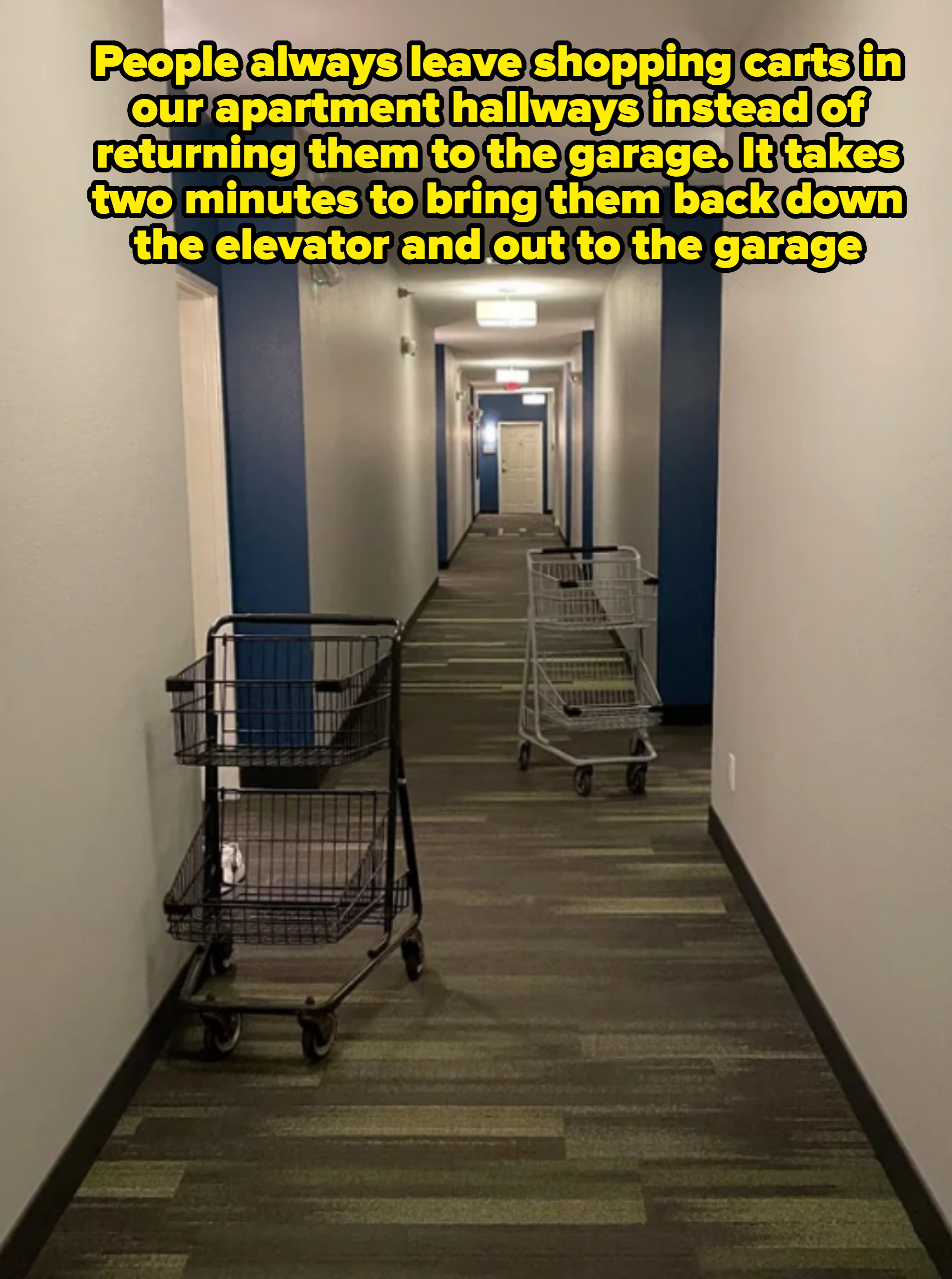 Shopping carts left in a long, empty hallway of a building. Caption: &quot;People always leave shopping carts in our apartment hallways instead of returning them to the garage. It takes two minutes to bring them back down the elevator and out to the garage&quot;