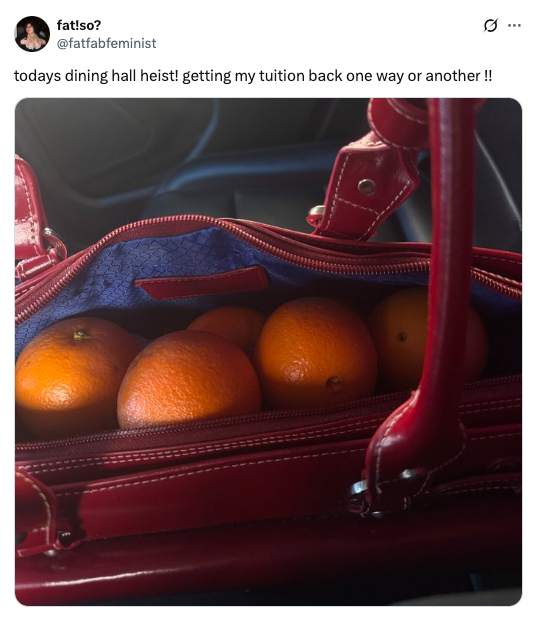 Open red bag filled with oranges, captioned &quot;today's dining hall heist! getting my tuition back one way or another !!&quot;