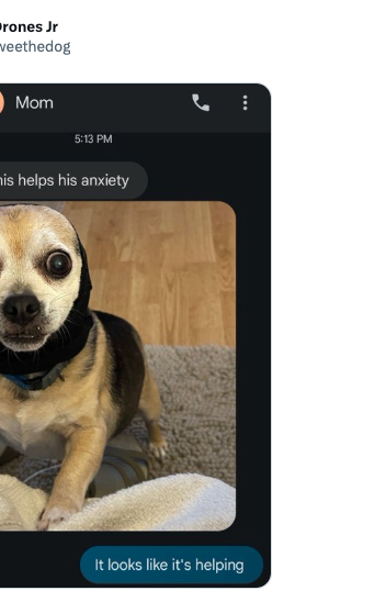 A dog with wide eyes wears a black wrap. Text above reads, &quot;Hoping this helps his anxiety.&quot; Below, &quot;It looks like it's helping.&quot;